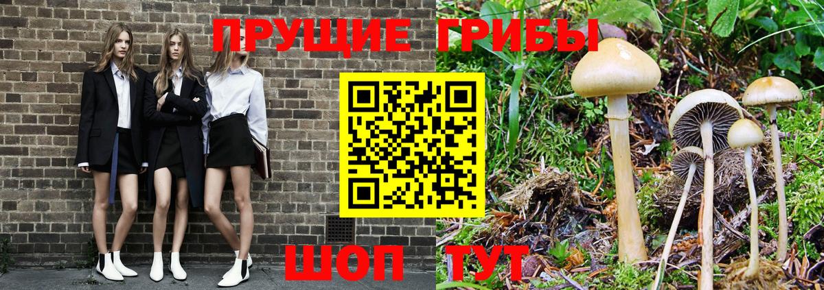Анапа  Галлюциногенные грибы GOLDEN TEACHER  Вход с VPN 